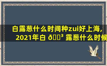 白露葱什么时间种zui
好上海,2021年白 🐳 露葱什么时候种
